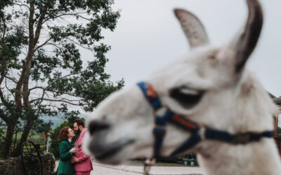 The Wellbeing Farm Wedding